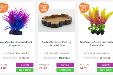 Best Terrarium plant deals